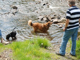 2009-05-24_ntb_1468