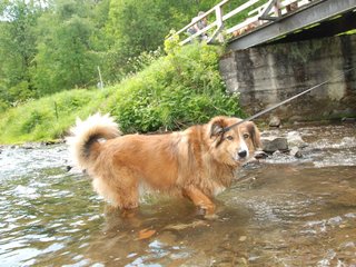 2009-05-24_ntb_1469