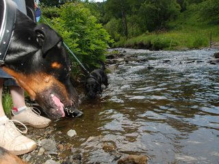 2009-05-24_ntb_1470