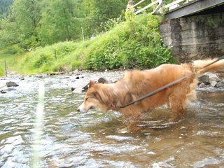 2009-05-24_ntb_1471