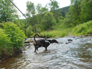 2009-05-24_ntb_1473