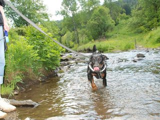 2009-05-24_ntb_1474