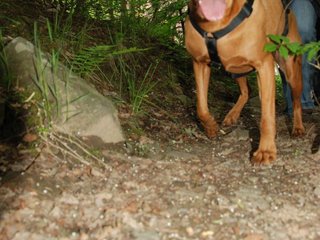 2009-05-24_ntb_1477