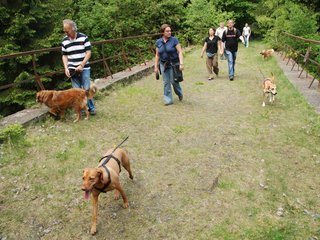 2009-05-24_ntb_1479