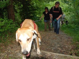 2009-05-24_ntb_1482