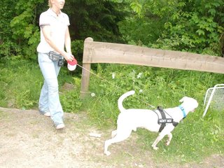 2009-05-24_ntb_1484