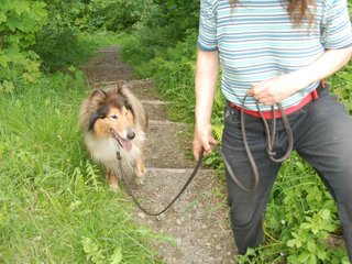 2009-05-24_ntb_1490