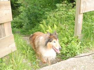 2009-05-24_ntb_1491