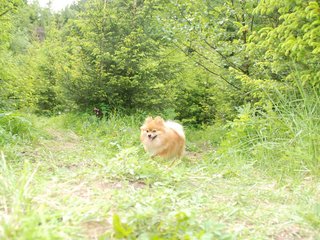 2009-05-24_ntb_1496