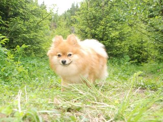 2009-05-24_ntb_1497