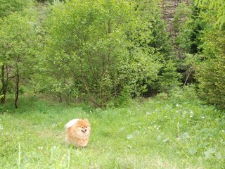 2009-05-24_ntb_1498