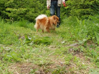 2009-05-24_ntb_1499