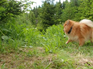 2009-05-24_ntb_1500