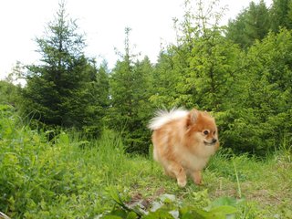 2009-05-24_ntb_1501