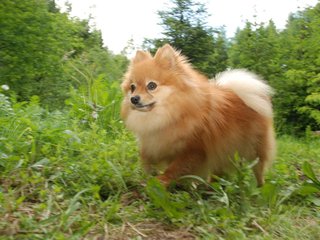 2009-05-24_ntb_1502
