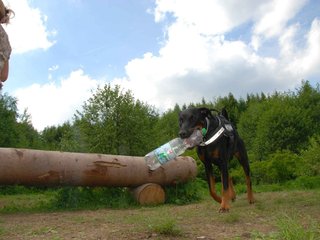 2009-05-24_ntb_1505