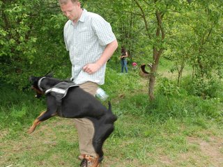 2009-05-24_ntb_1508