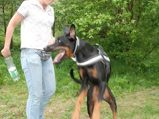 2009-05-24_ntb_1509