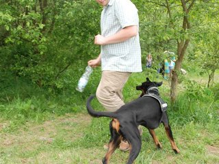 2009-05-24_ntb_1510