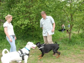 2009-05-24_ntb_1511