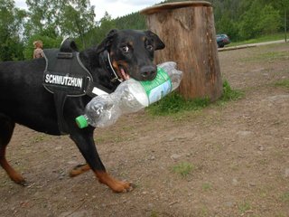 2009-05-24_ntb_1513