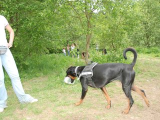 2009-05-24_ntb_1516