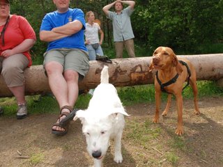 2009-05-24_ntb_1518