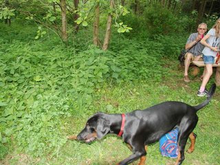 2009-05-24_ntb_1519