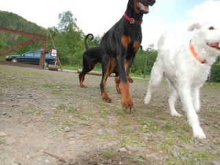 2009-05-24_ntb_1520