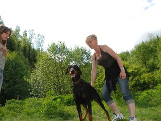 2009-05-24_ntb_1521