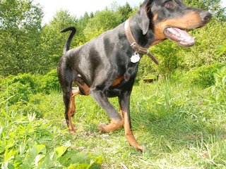 2009-05-24_ntb_1522