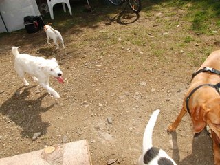 2009-05-24_ntb_1523