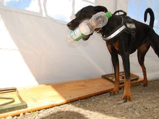 2009-05-24_ntb_1524