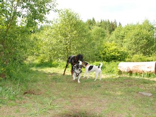 2009-05-24_ntb_1525
