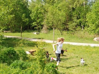 2009-05-24_ntb_1528