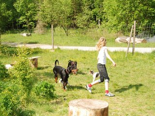 2009-05-24_ntb_1529