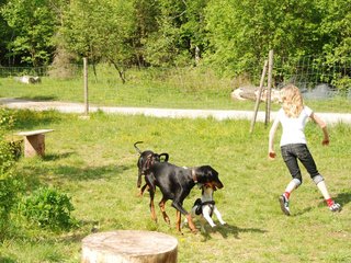 2009-05-24_ntb_1530
