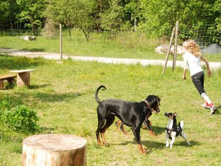2009-05-24_ntb_1531