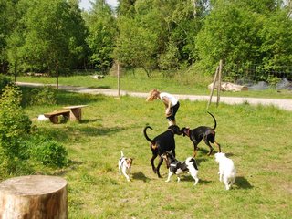 2009-05-24_ntb_1532