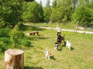2009-05-24_ntb_1533