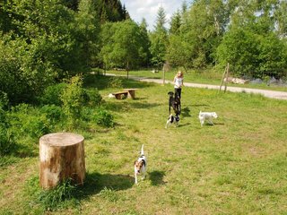 2009-05-24_ntb_1534