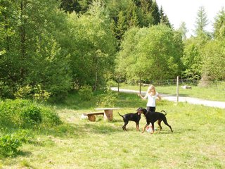 2009-05-24_ntb_1535