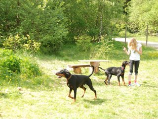2009-05-24_ntb_1536
