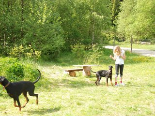 2009-05-24_ntb_1537