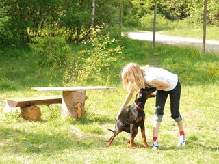 2009-05-24_ntb_1539