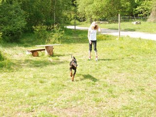 2009-05-24_ntb_1544