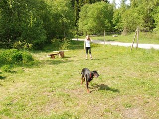 2009-05-24_ntb_1545