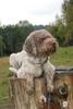 2009-10-03_ntb_9319
