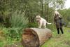 2009-10-03_ntb_9320