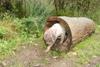 2009-10-03_ntb_9321